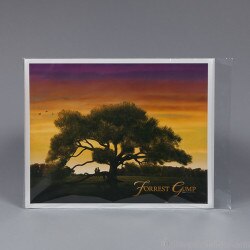 16 x 20 Still Poly Sleeve